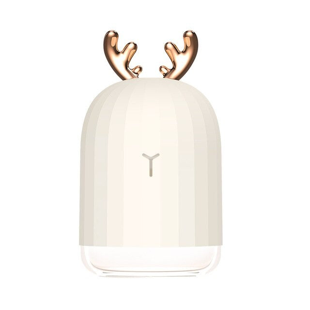 Ultrasonic Air Humidifier & Oil Diffuser